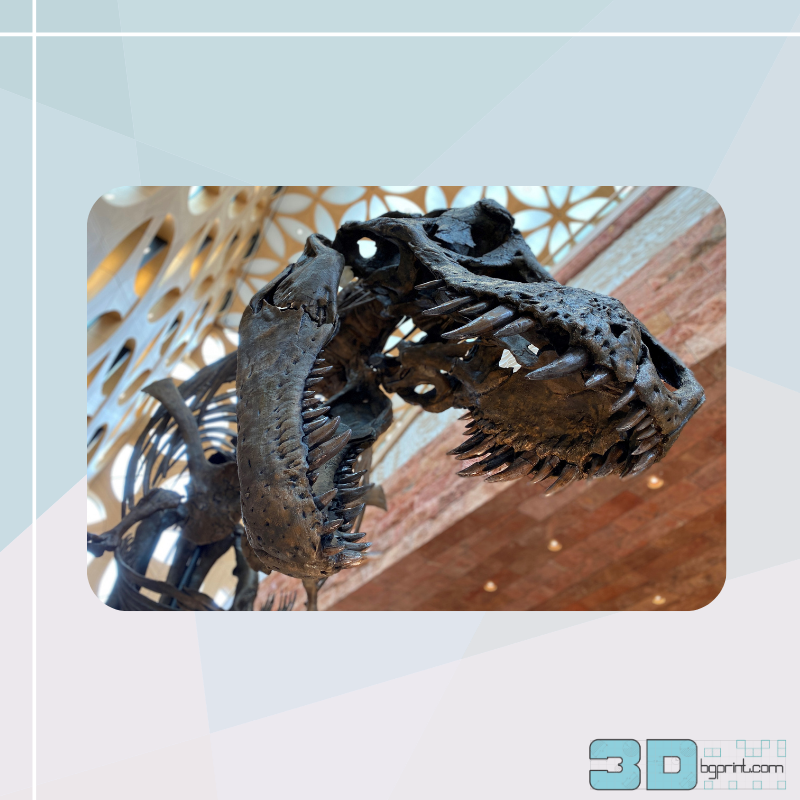 Naturalis отпечатва 3D реплика в пълен размер на оригиналния им Тиранозавър РЕКС